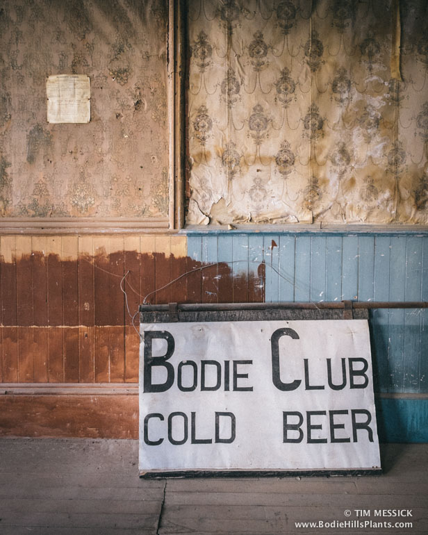 Bodie Club: Cold Beer