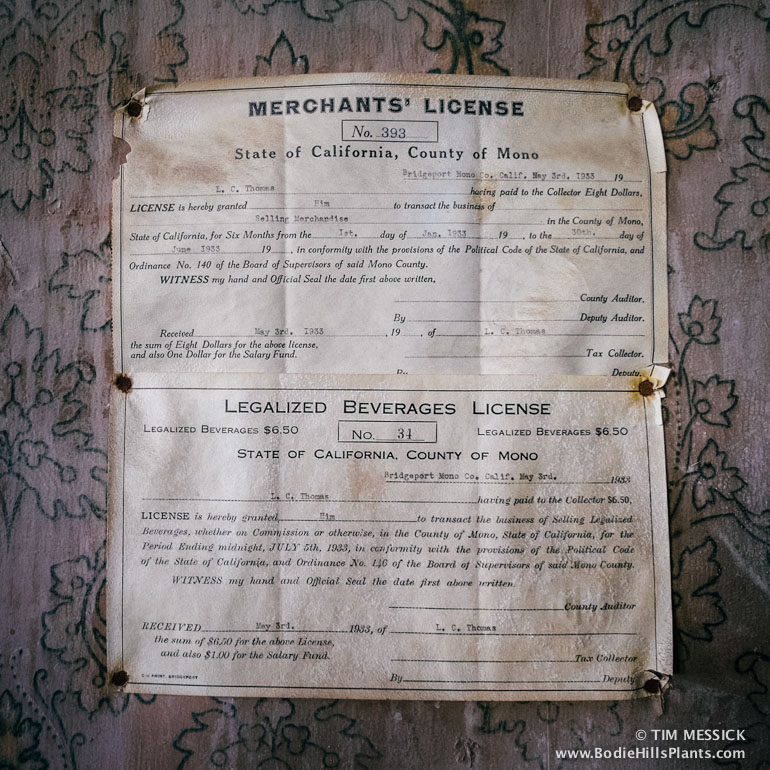 Licensed to sell Beer