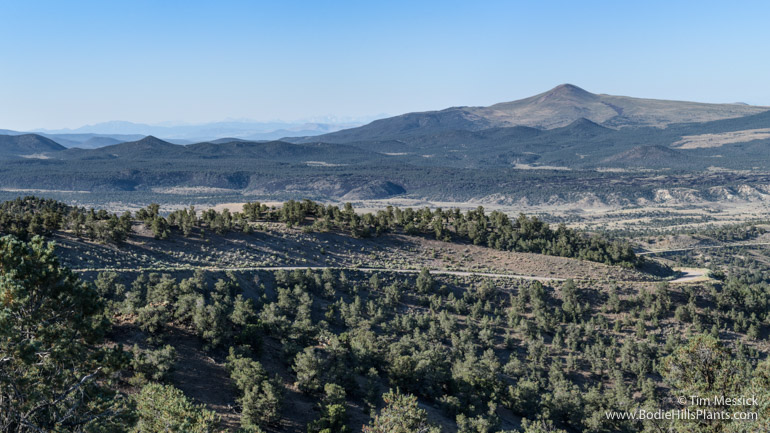 Mt Hicks from Lucky Boy Pass