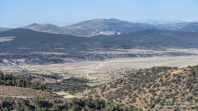 Bodie Hills from Lucky Boy Pass