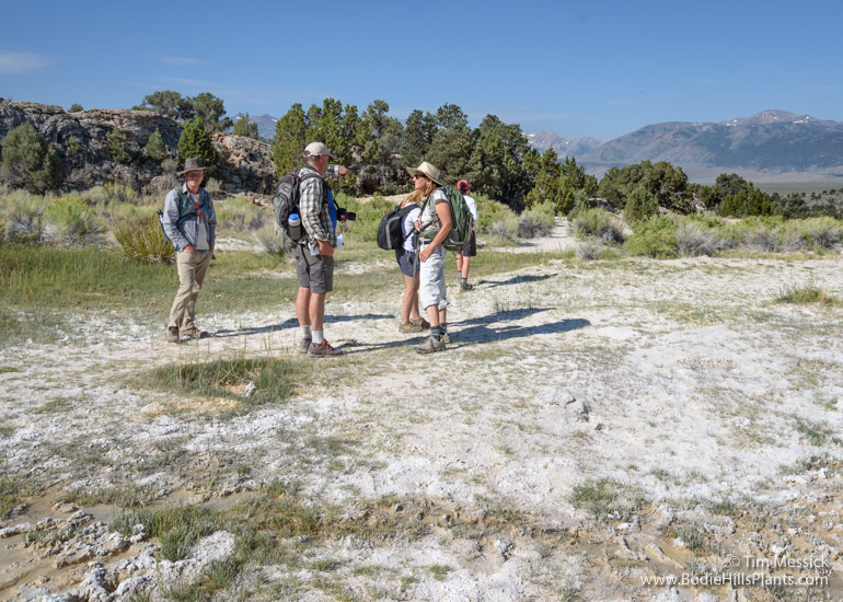 Travertine Hot Springs