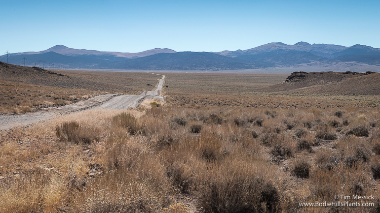 Fletcher Valley from Aldrich Pass