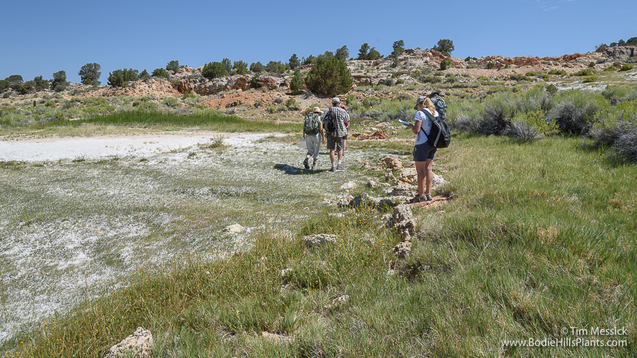 Travertine Hot Springs