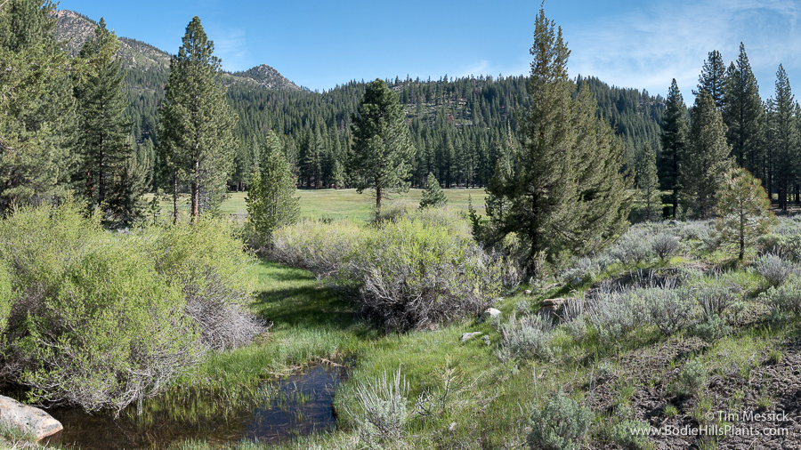 Grover Hot Springs State Park