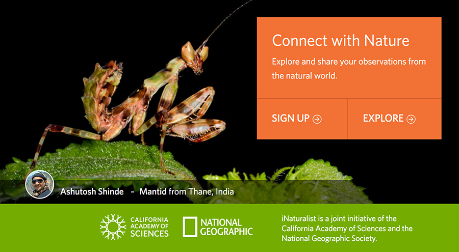 iNaturalist home page