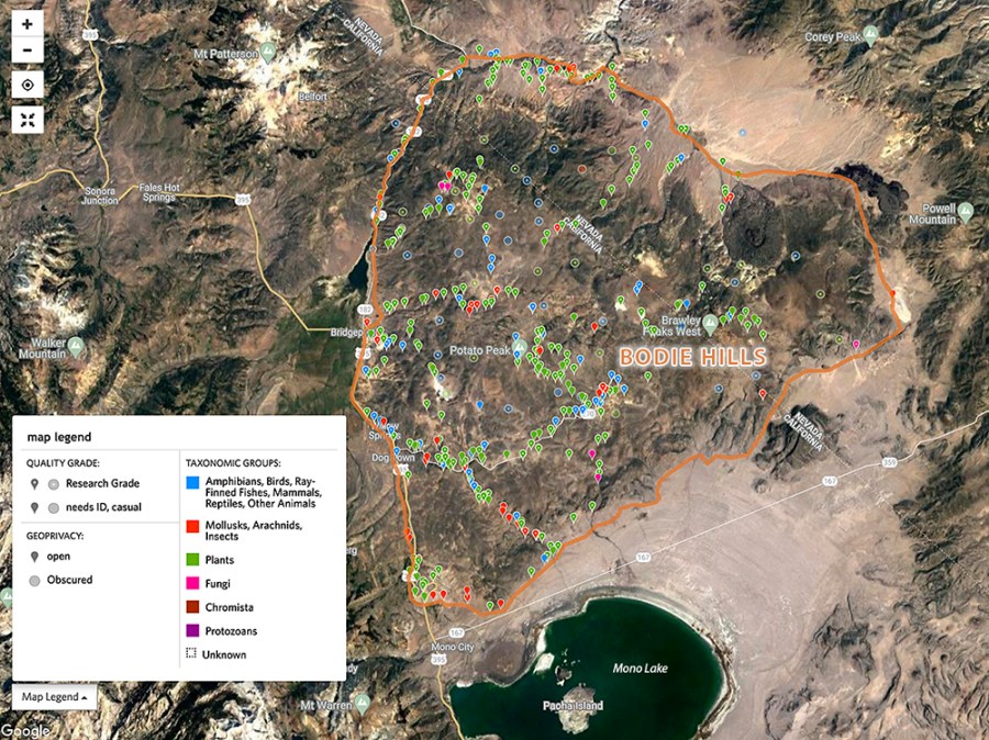 Map of observations in the Bodie Hills