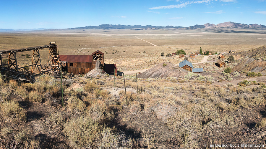 Berlin-Ichthyosaur State Park