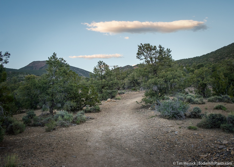 Berlin-Ichthyosaur State Park